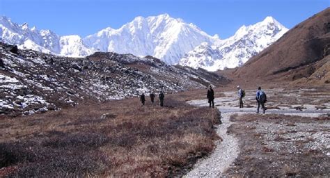 sikkim singam|Sikkim Himalayas .